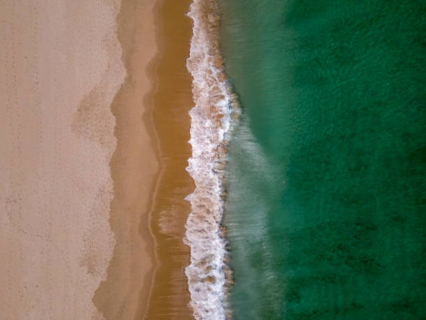 istock Birdseye view of a sandy beach 1463122368