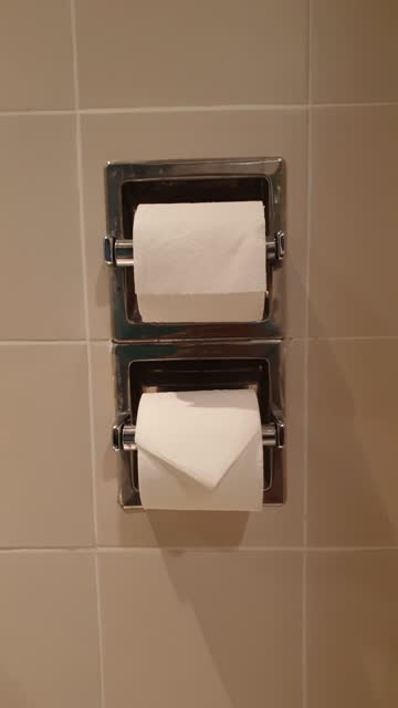 Toilet paper on the bathroom wall.