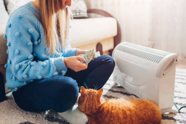 istock Expensive electricity. High prices for heating. Using heater at home in winter with cat. Sad woman counts money 1463123675