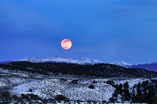 Full Moon in Winter Rising Over Mountain Range - Scenic winter landscape of Sawatch Range and pink-orange full moon rising above mountains during blue hour.