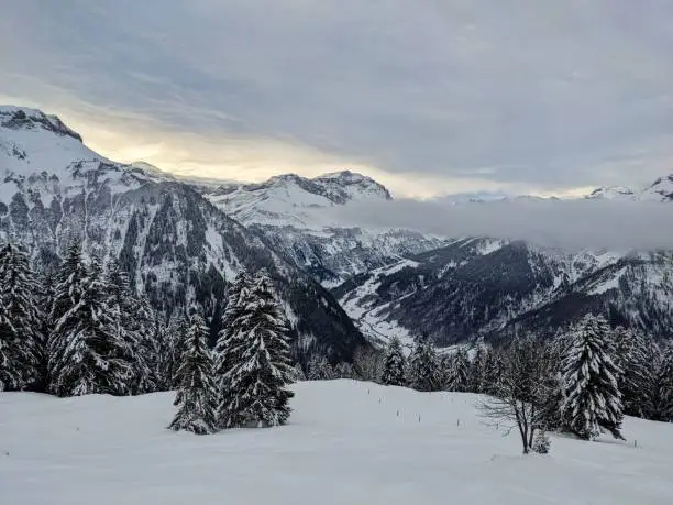 Ski tour in the Glarus Alps. From Weissenberg to the Fuggstock. Through freshly snow covered forests to the summit. Skitouring in the AlpsHigh quality photo.
