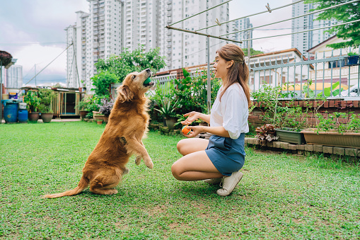 Adorable woman in garden playing with ball and her dog.