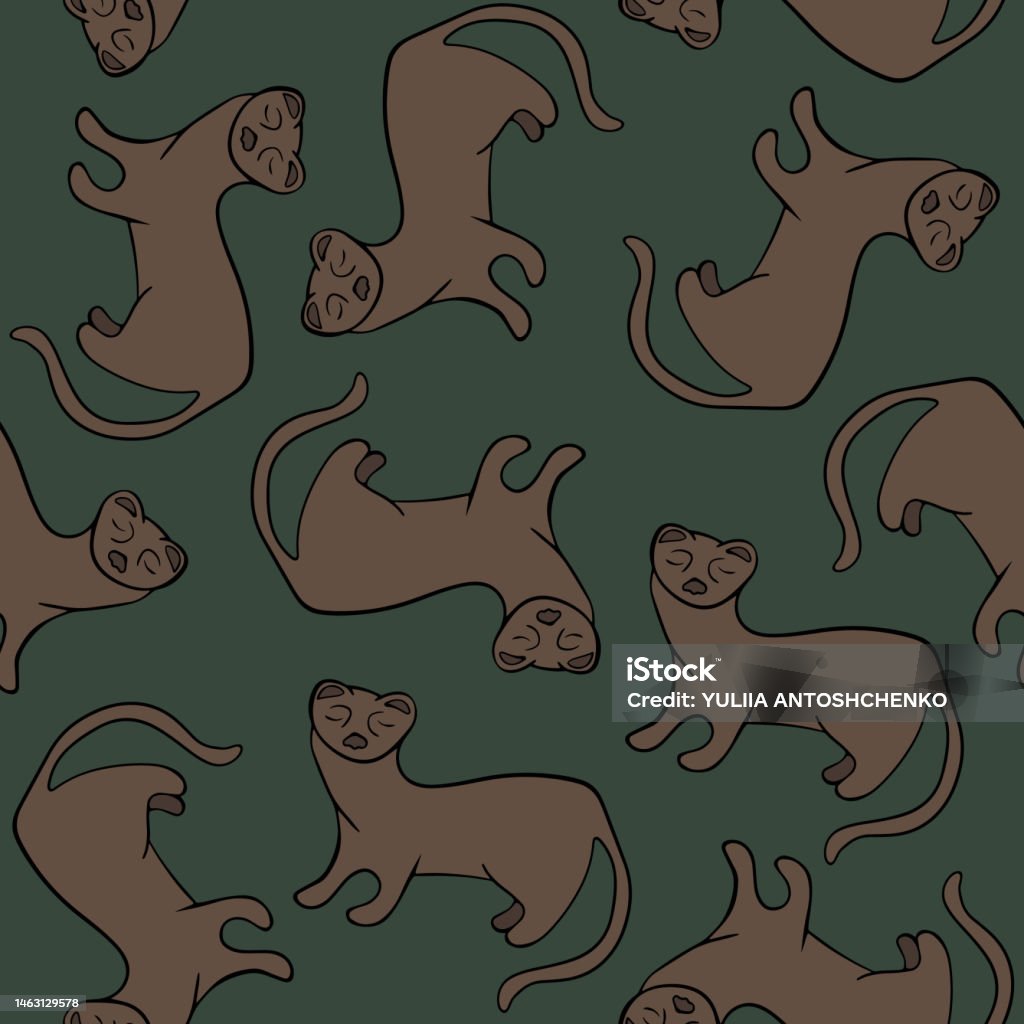 Ferret Patterned Border Pattern With Ferrets Stock Illustration - Download Image Now - Adult ...