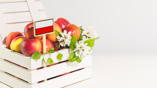 Poland apples. Natural, farm apples in a white wooden box with poland flag on white background with copy space. Selling seasonal, local fruits and vegetables. Support local farmers concept. Soft focus