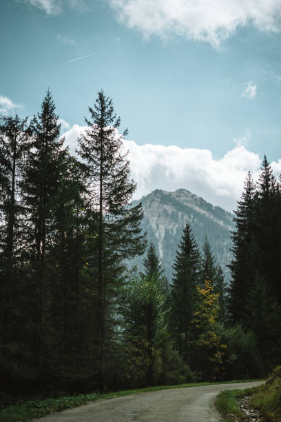 istock Majestic mountains in the Alps covered with trees and clouds 1463134519