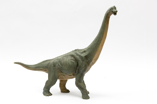 Brachiosaurus dinosaur isolated on white background. Dinosaurs, Jurassic period and toy concepts. Horizontal close-up.