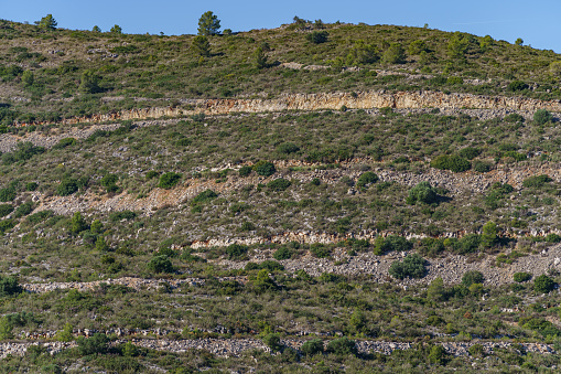A view of a rather rocky and sparsely vegetated mountain slope.