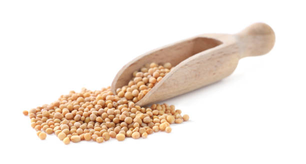 istock Mustard seeds with wooden scoop isolated on white 1463163568