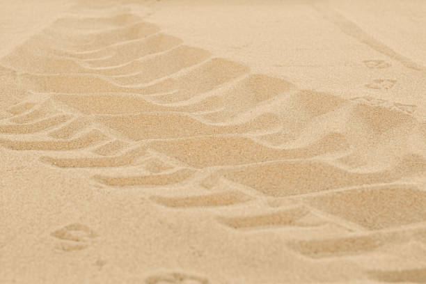istock Car tire tracks on beach sand, closeup 1463166516