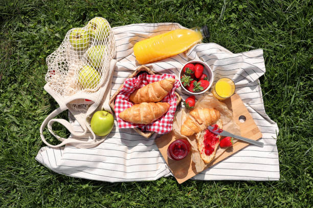 istock Blanket with different products on green grass, top view. Summer picnic 1463170004