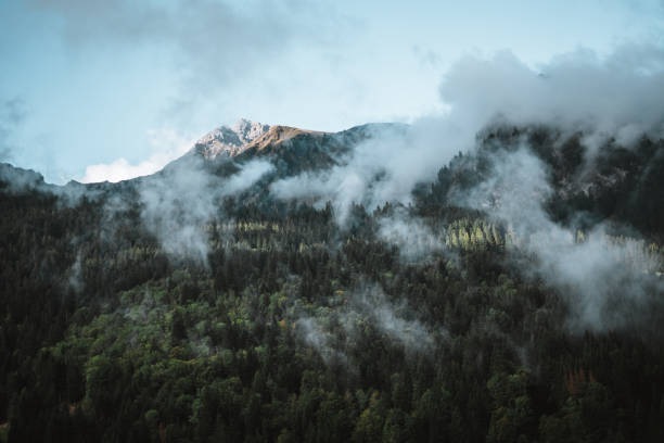Majestic mountains in the Alps covered with trees and clouds in autumn