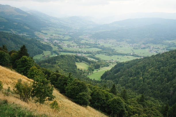 istock Majestic mountains in the Alps covered with trees and clouds 1463184041