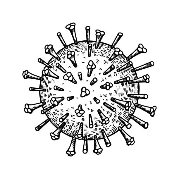 Vector illustration of Influenza virus isolated on white background. Hand drawn realistic detailed scientifical vector illustration in sketch style