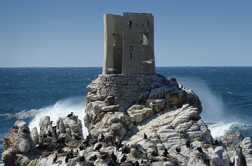 An abandoned seaside tower, a remnant of an old whaling station, looms above a colony of cormorants in Betty’s Bay, South Africa.