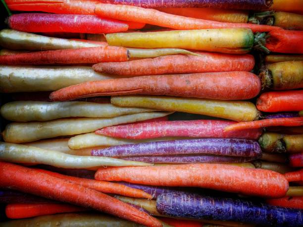 Rainbow Carrot