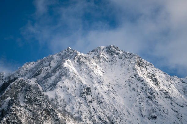 istock Beautiful winter mountains landscape with snow covered trees 1463224660