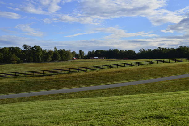istock Beautiful Horse Paddock on a Sunny Morning 1463224795
