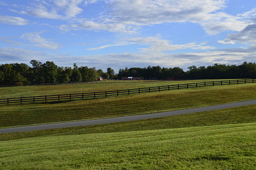 Beautiful, green fenced horse paddock on a farm on a sunny morning with a blue sky in rural Virginia