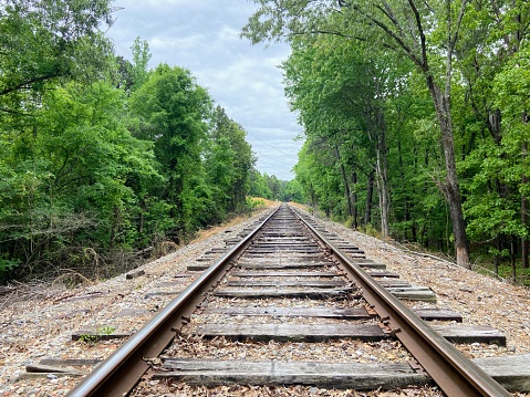 Railroad tracks, Pinnacle Mountain State Park, Little Rock, Arkansas