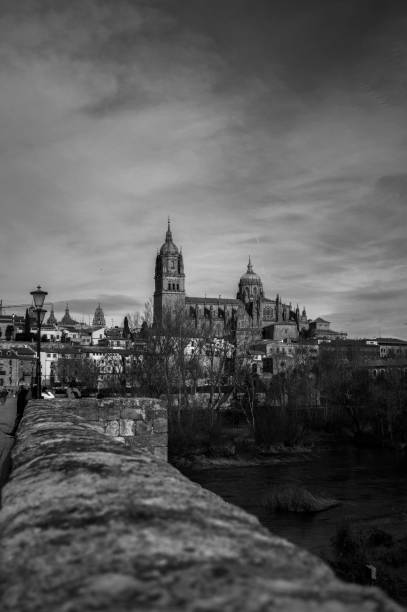 istock Cathedral of Salamanca 1463232337