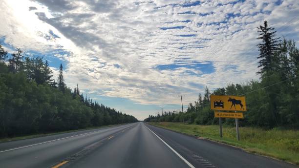 istock Moose sleepers on route NB11 (1) 1463233353