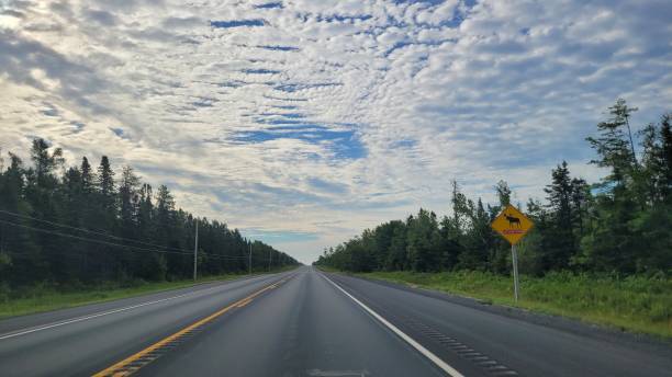 istock Moose sleepers on route NB11 (2) 1463233359