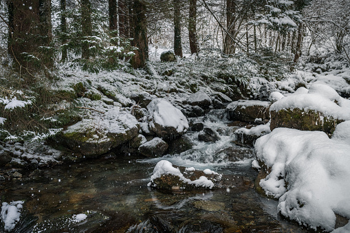 Pyrenees mountain stream in winter