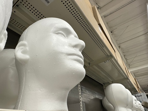 Styrofoam mannequin heads on a store shelf