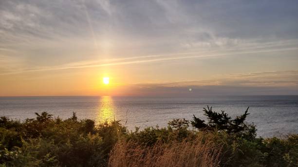 istock Sun and orange and blue sky (1) 1463250533