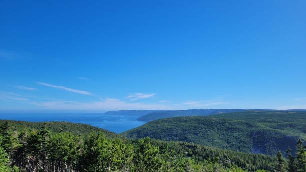 istock Top of the MacKenzie Mountain (1) 1463250916