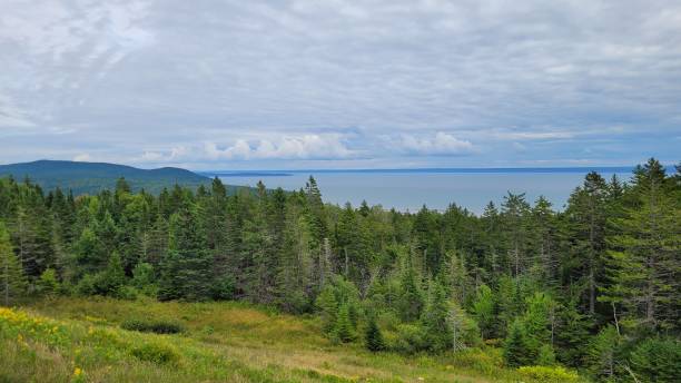 istock On the top of Fundy Park (2) 1463254043