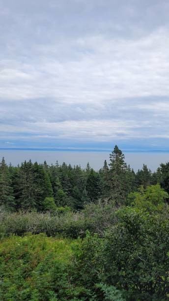 istock On the top of Fundy Park (3) 1463254050