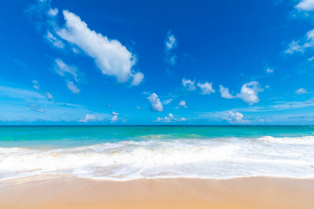 Beautiful white sand sea beach wave colorful sky with cloud summer vacation background