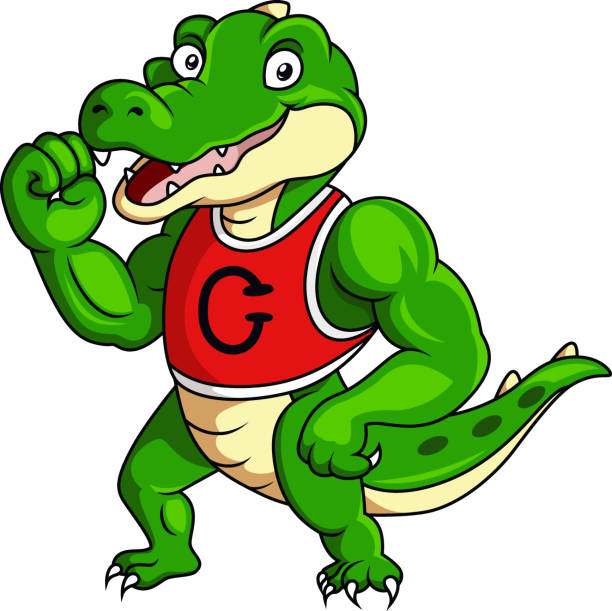krokodil maskottchen zeichentrickfigur mit muskelkörper - alligator mascot flexing muscles body building stock-grafiken, -clipart, -cartoons und -symbole