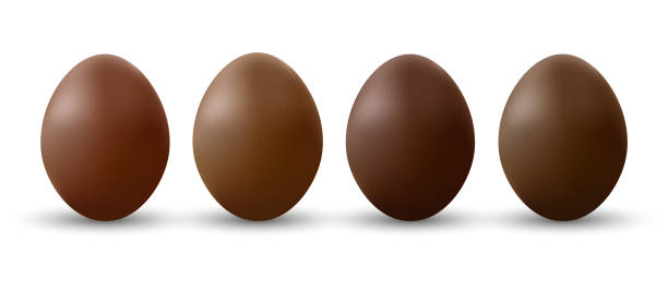 istock Set of  Relistic Chocolate egg.Tasty sweet chocolate egg.Vector Illustration 1463258143