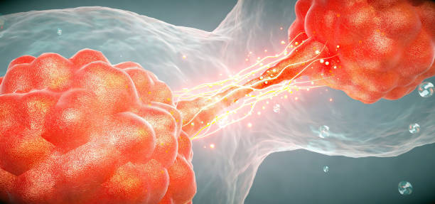 istock 3D rendering of human cell or embryonic stem cell microscope background 1463259509