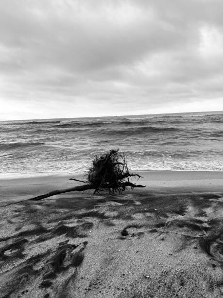 istock Sea of Buritaca 1463260100