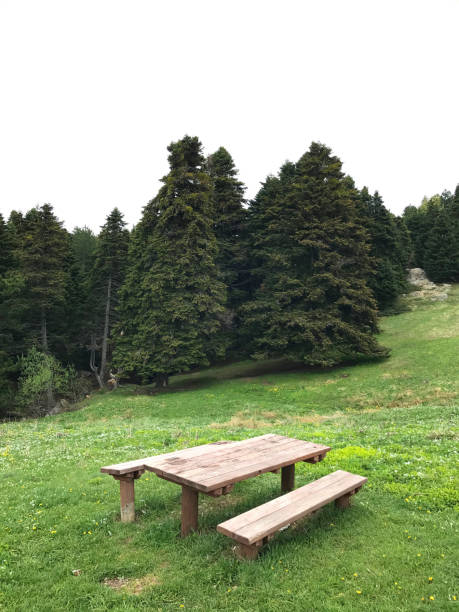istock Picnic area at Uludag National Park 1463265110