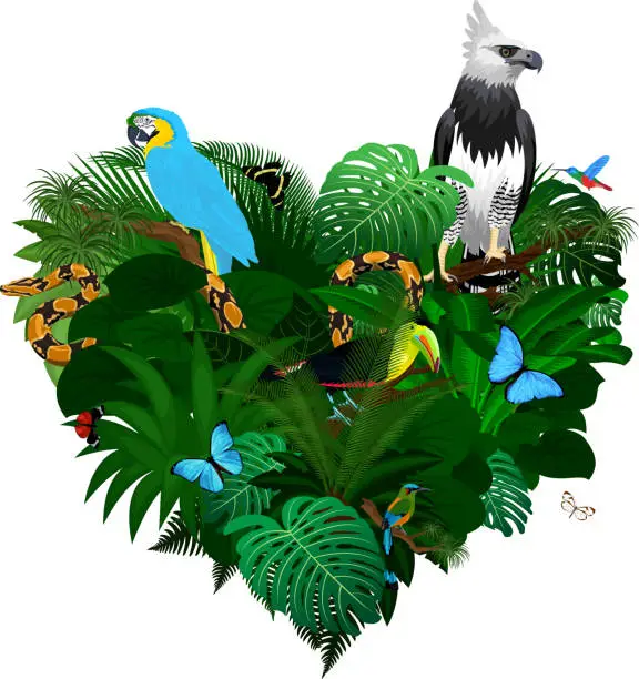 Vector illustration of jungle rainforest heart illustrations with macaw parrot, harpy eagle, toucan, python, motmot and butterflies
