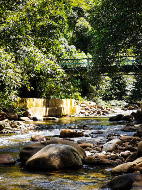 istock Beautiful scenery during day time with river water flowing landscape. 1463269587