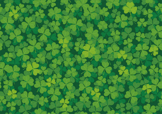 ilustraciones, imágenes clip art, dibujos animados e iconos de stock de ilustración de fondo de trébol sin costuras vectorial para el día de san patricio. - día de san patricio