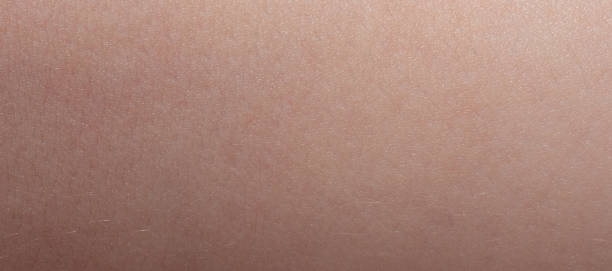 istock Clean baby skin texture background 1463283168