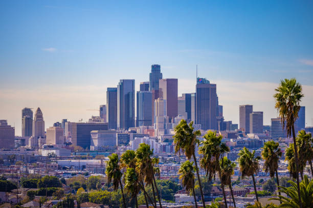 Los Angeles CA A view of downtown Los Angeles California with palm trees in the foreground los angeles county stock pictures, royalty-free photos & images