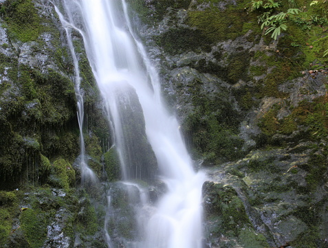 Close-up of the Marymere waterfall in the Olympic National Park