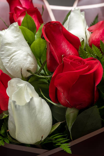 букет роз - dozen roses gift single flower rose стоковые фото и изображения