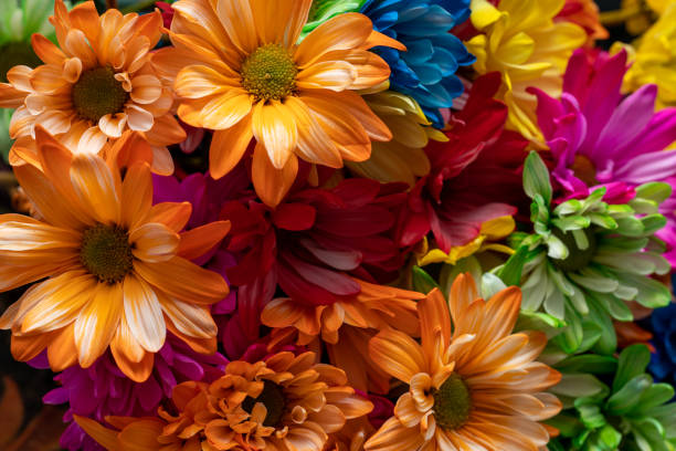 bouquet texture of diverse and colorful flowers seen from above
