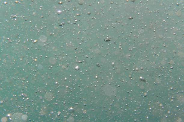Background of sea wash, bubbles and sea foam