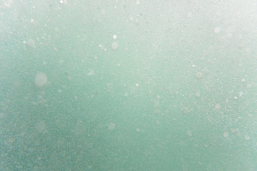 Background of sea wash, bubbles and sea foam