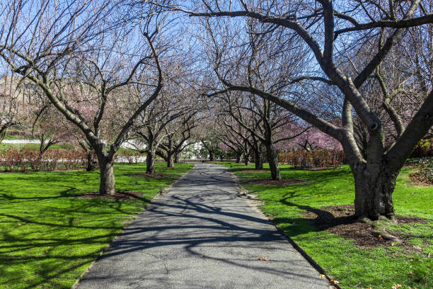 istock trail in the park in spring 1463295634