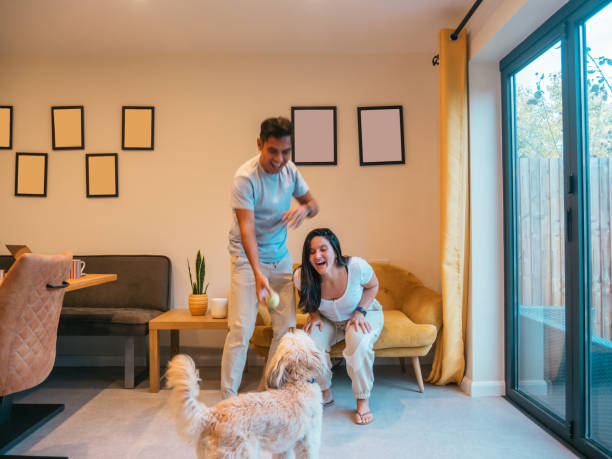 istock Diverse couple at home playing with dog 1463297433